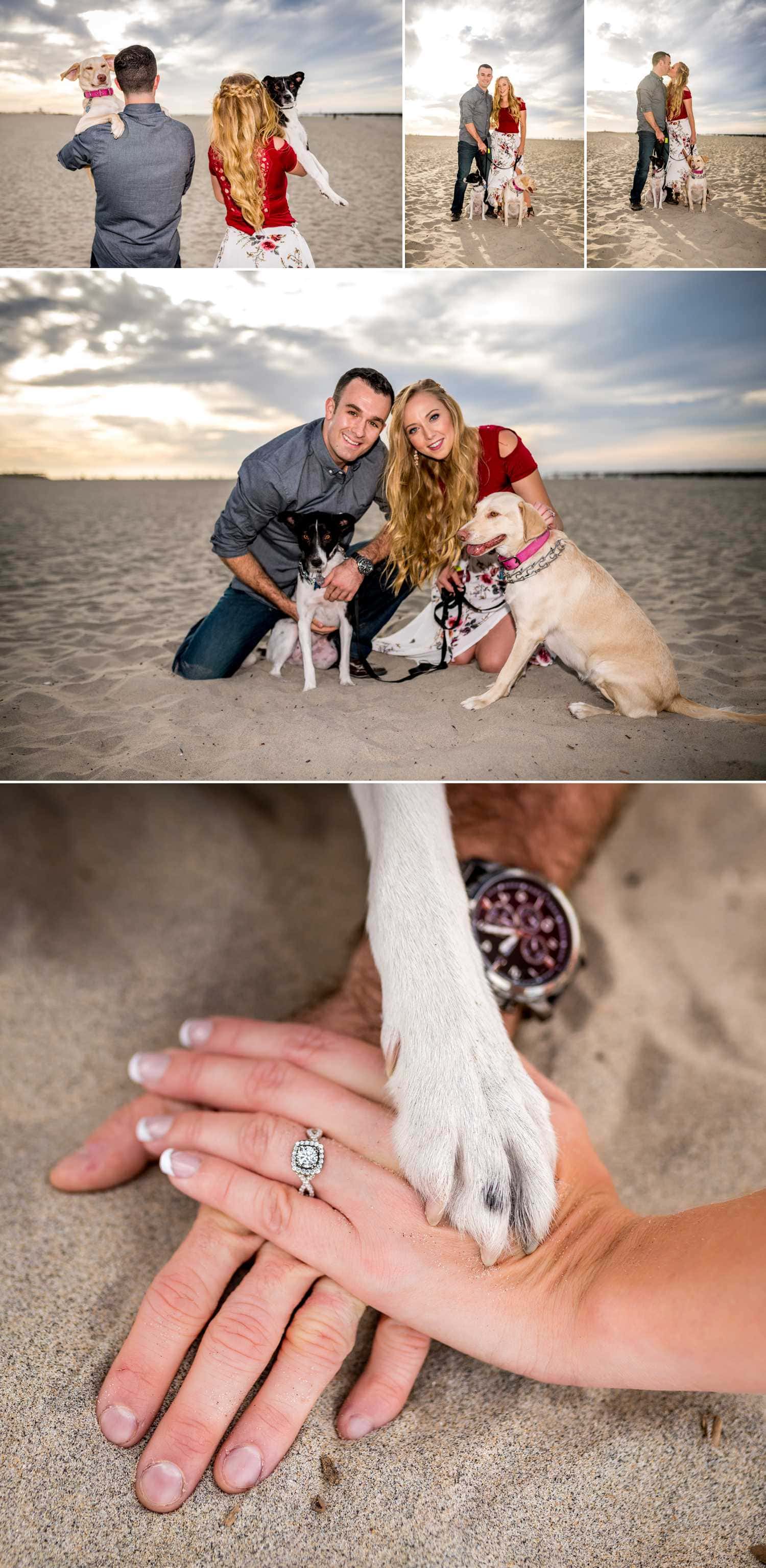 Engagement session with dogs.