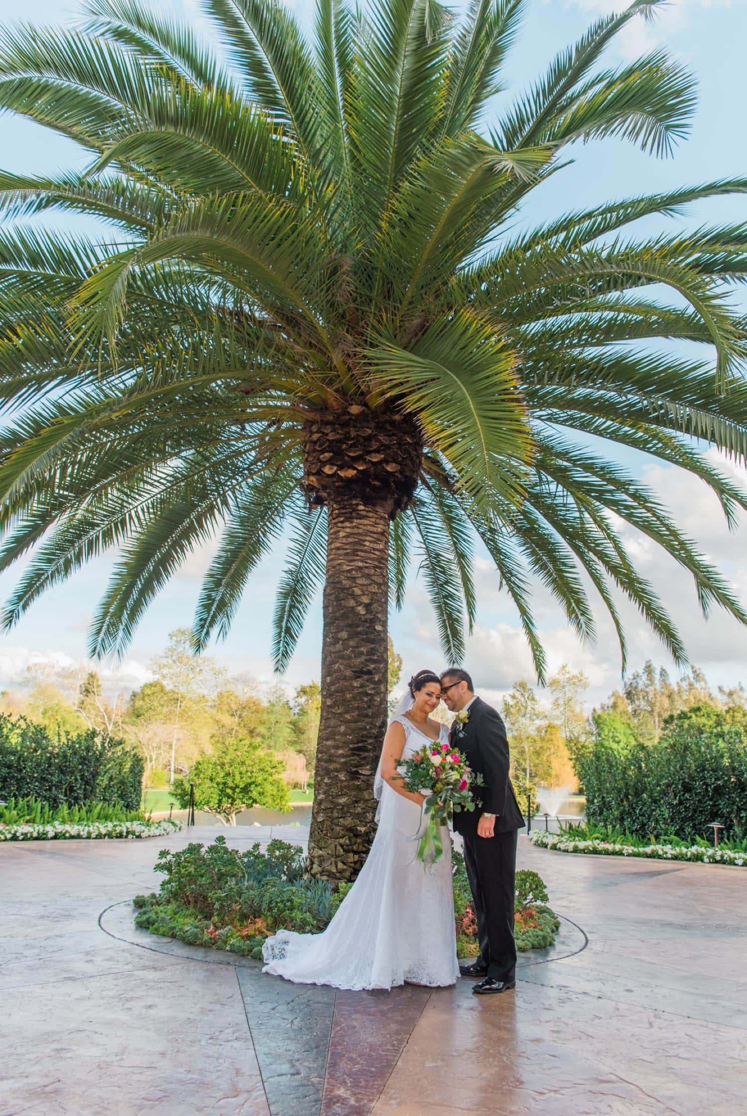 Photo under big palm tree at Grand Tradition Estate