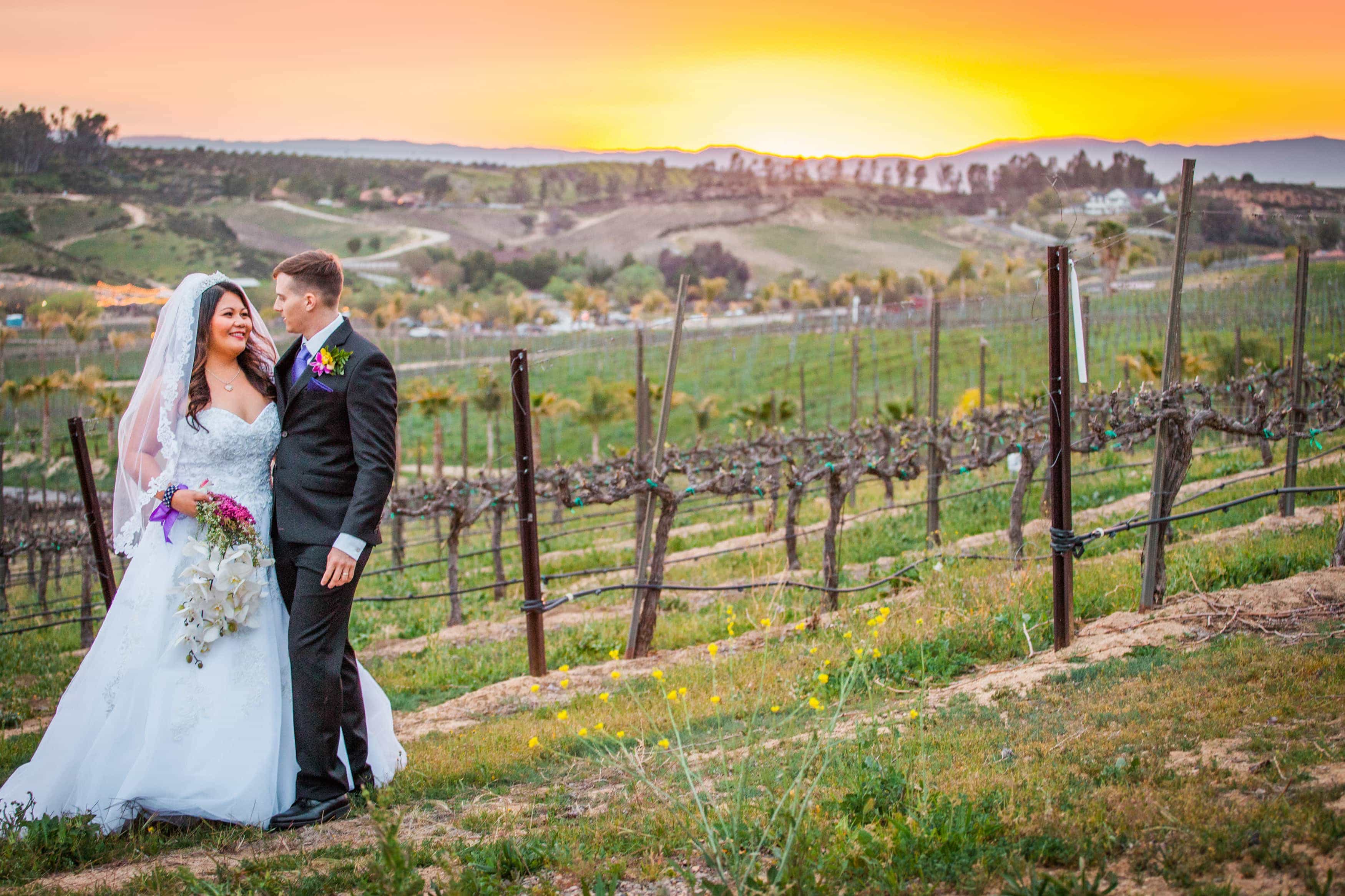 Bride and groom in the vines at Falkner winery at sunset in Temecula. 