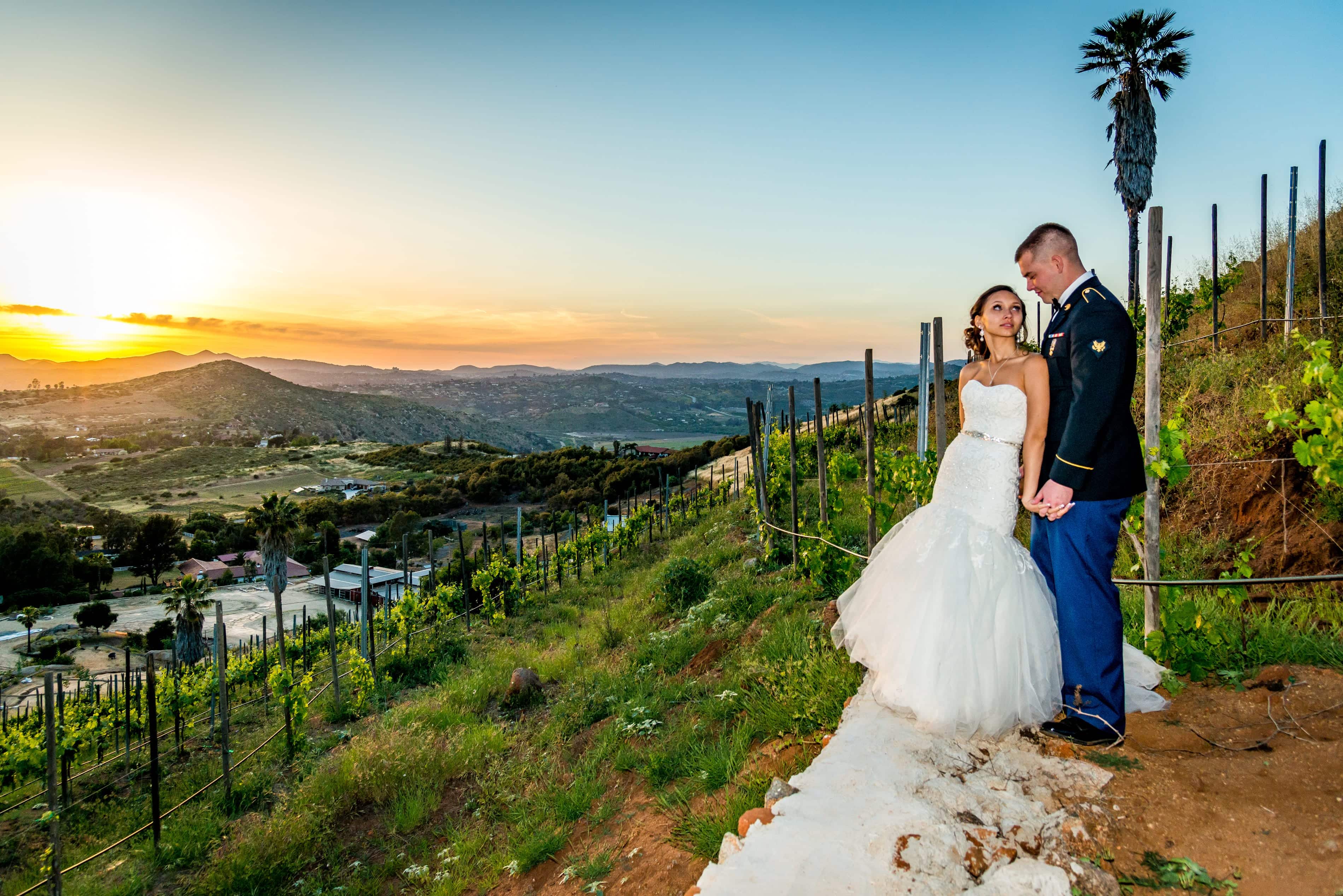 Bride and groom at a winery by the vines.