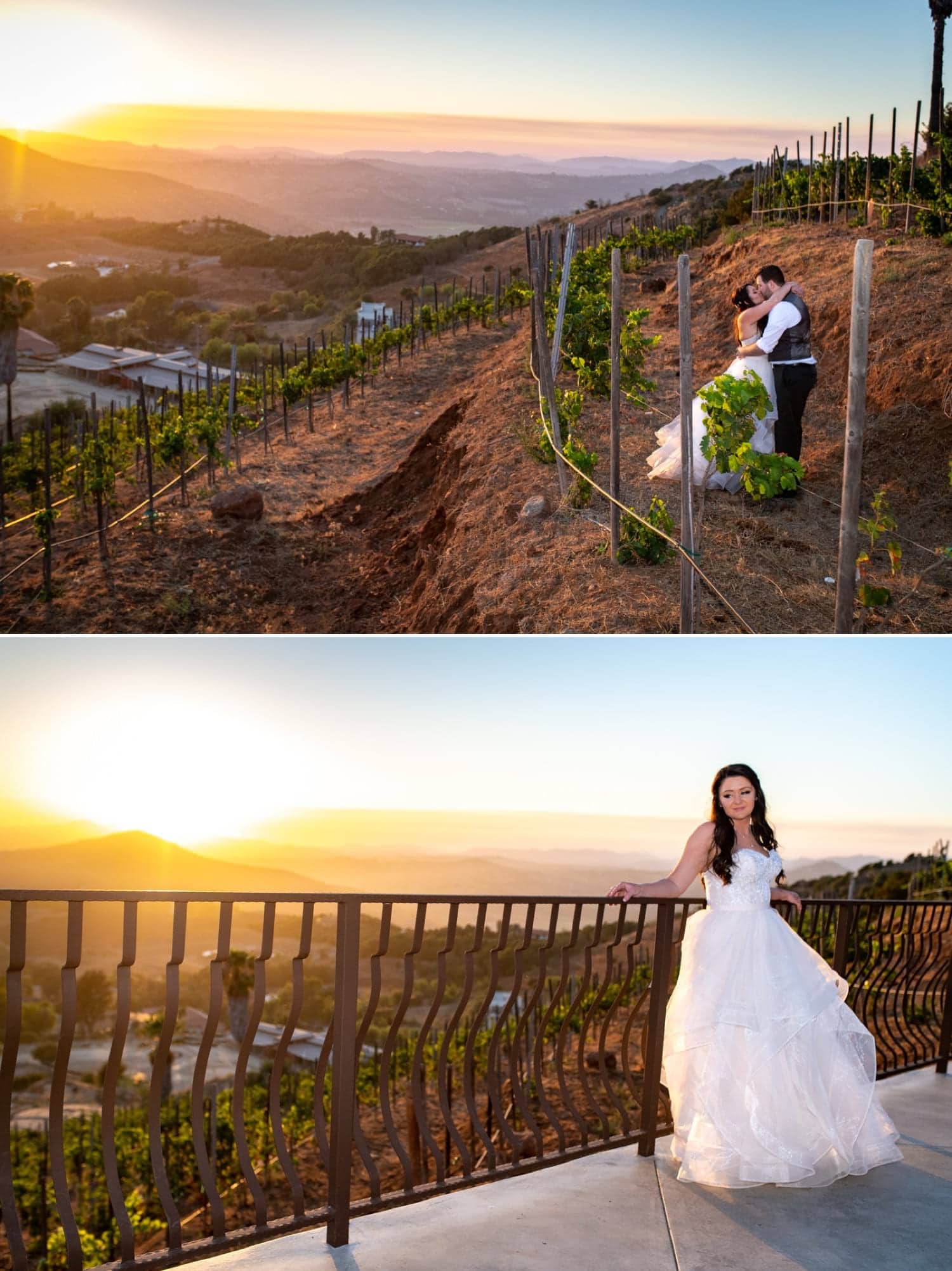 Bride and groom kissing at sunset in the vines at Cordiano Winery in Escondido, CA. 