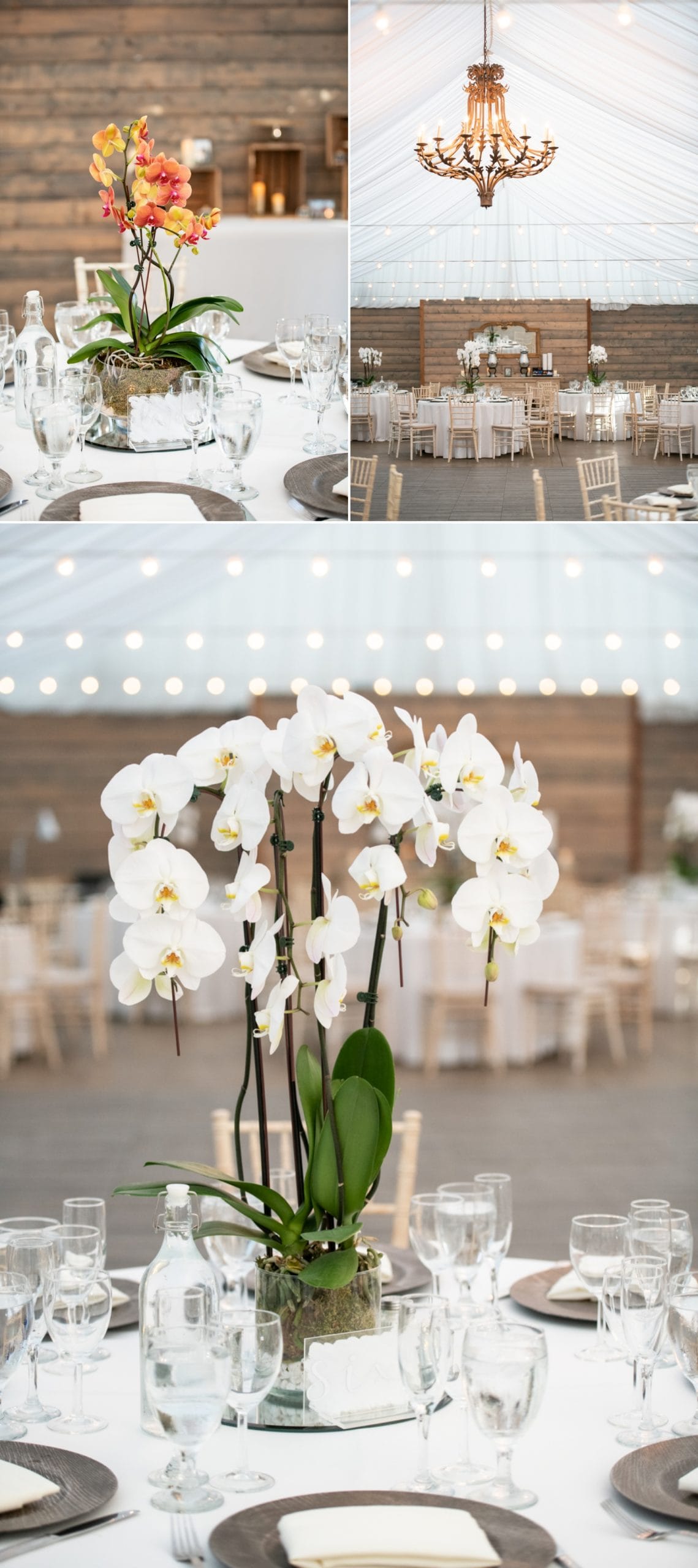 Reception setup at Botanica a Trademark wedding venue